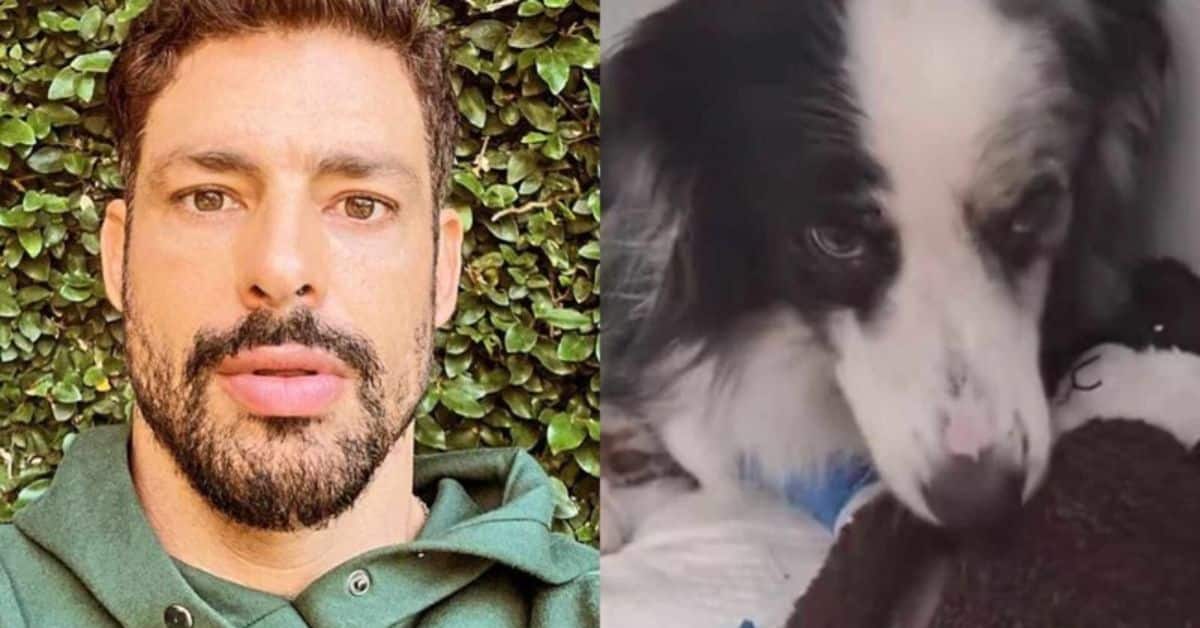 Cauã Reymond surpreende ao mostrar atual situação de sua cachorra que sobreviveu ao envenenamento